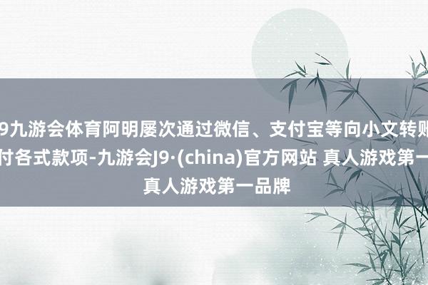 J9九游会体育阿明屡次通过微信、支付宝等向小文转账、代付各式款项-九游会J9·(china)官方网站 真人游戏第一品牌